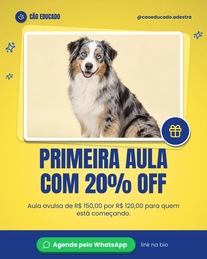 Post “Primeira aula com 20% off.” do Feed Pronto Adestramento