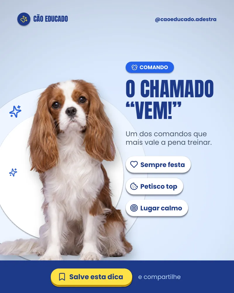 Post “O chamado “vem!”.” do Feed Pronto Adestramento