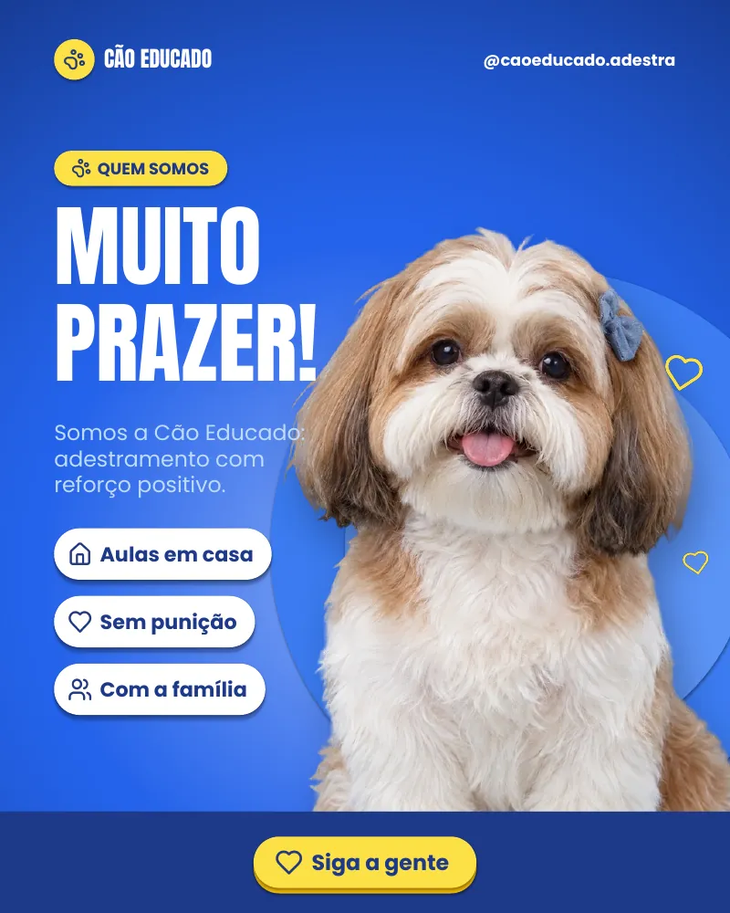 Post “Muito prazer!” do Feed Pronto Adestramento