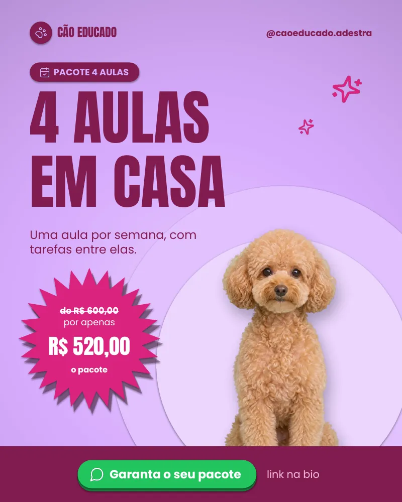 Post “Pacote 4 aulas em casa.”, edição rosa