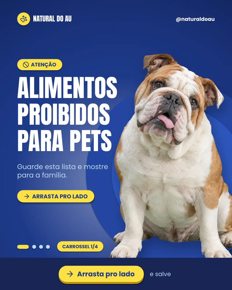 Carrossel “Alimentos proibidos para pets.”, página 1 de 4