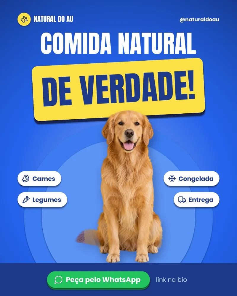 Post “Comida natural de verdade para o seu pet.” do Feed Pronto Comida Natural