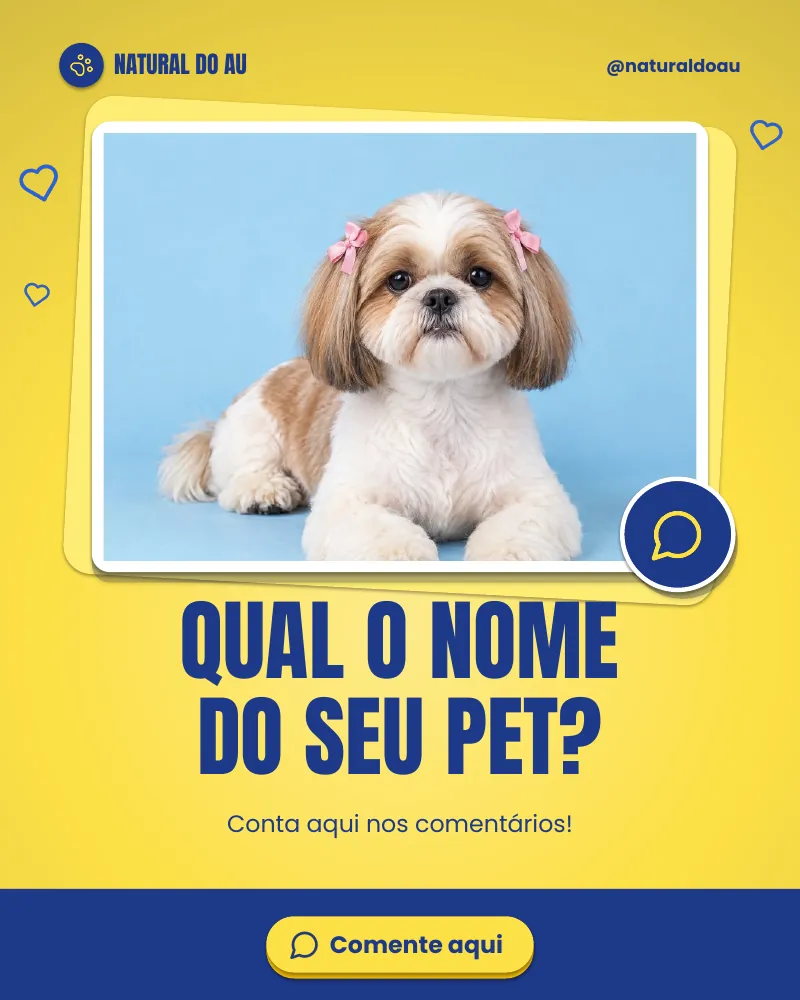 Post “Qual o nome do seu pet?” do Feed Pronto Comida Natural