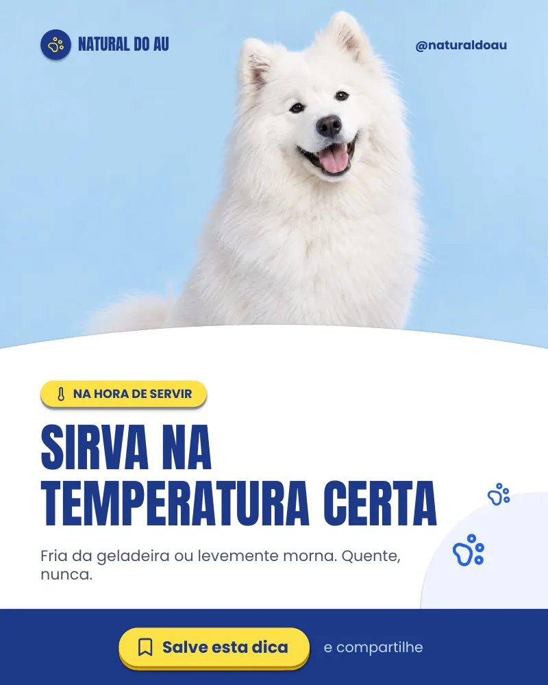 Post “Na hora de servir: fria da geladeira ou levemente morna.” do Feed Pronto Comida Natural