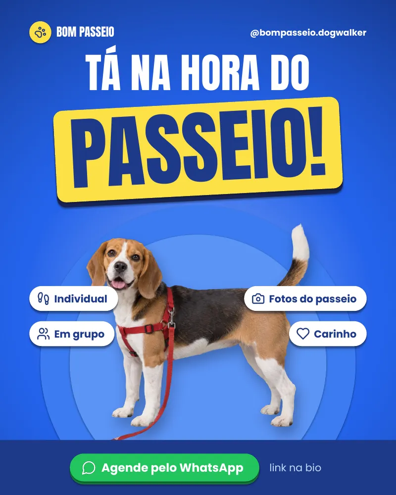 Post “Tá na hora do passeio!” do Feed Pronto Dog Walker