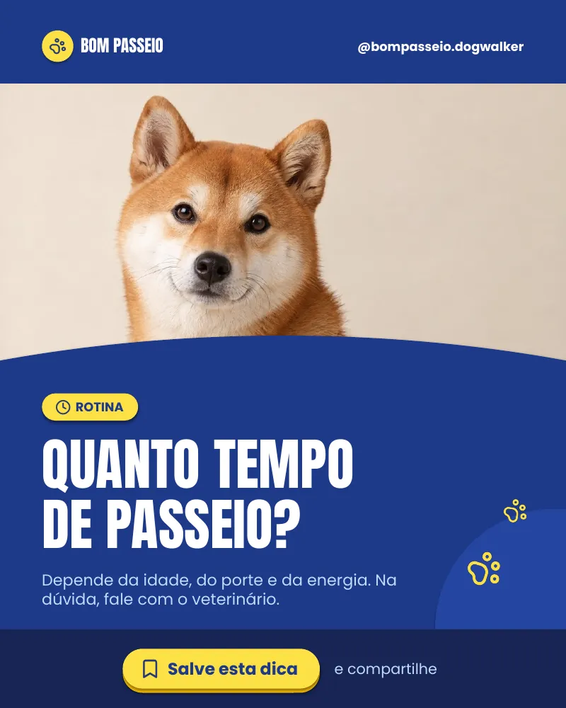 Post “Quanto tempo de passeio?” do Feed Pronto Dog Walker