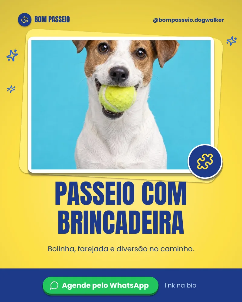 Post “Passeio com brincadeira.” do Feed Pronto Dog Walker