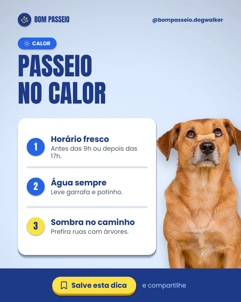 Post “Passeio no calor.” do Feed Pronto Dog Walker