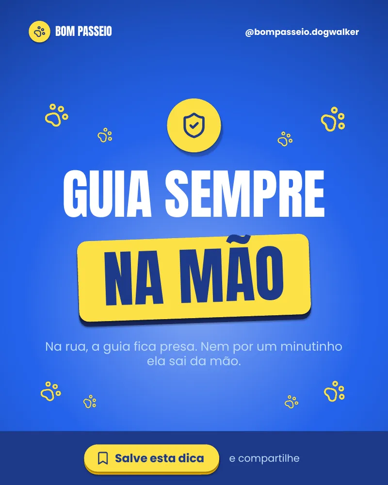 Post “Guia sempre na mão.” do Feed Pronto Dog Walker
