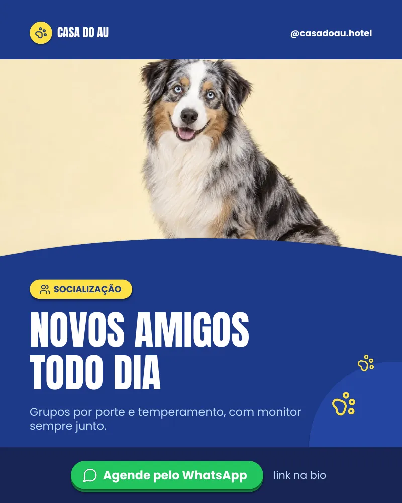Post “Novos amigos todo dia.” do Feed Pronto Hotel e Creche