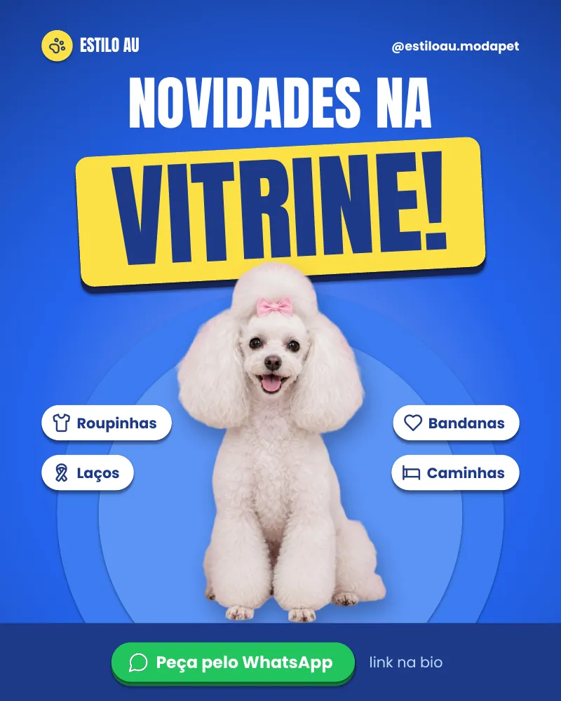Post “Novidades na vitrine!” do Feed Pronto Moda Pet