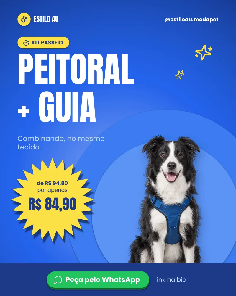 Post “Kit passeio: peitoral + guia combinando.” do Feed Pronto Moda Pet