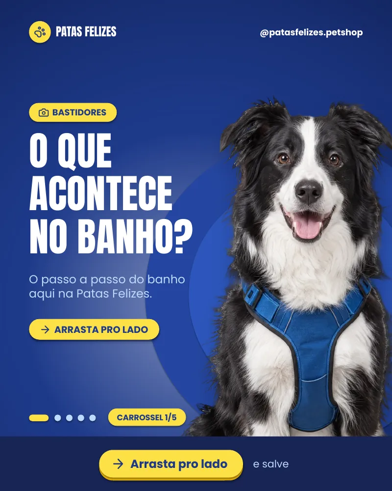 Carrossel “O que acontece no banho?”, página 1 de 5