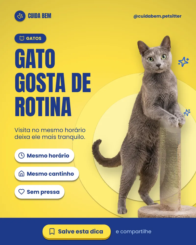 Post “Gato gosta de rotina.” do Feed Pronto Pet Sitter