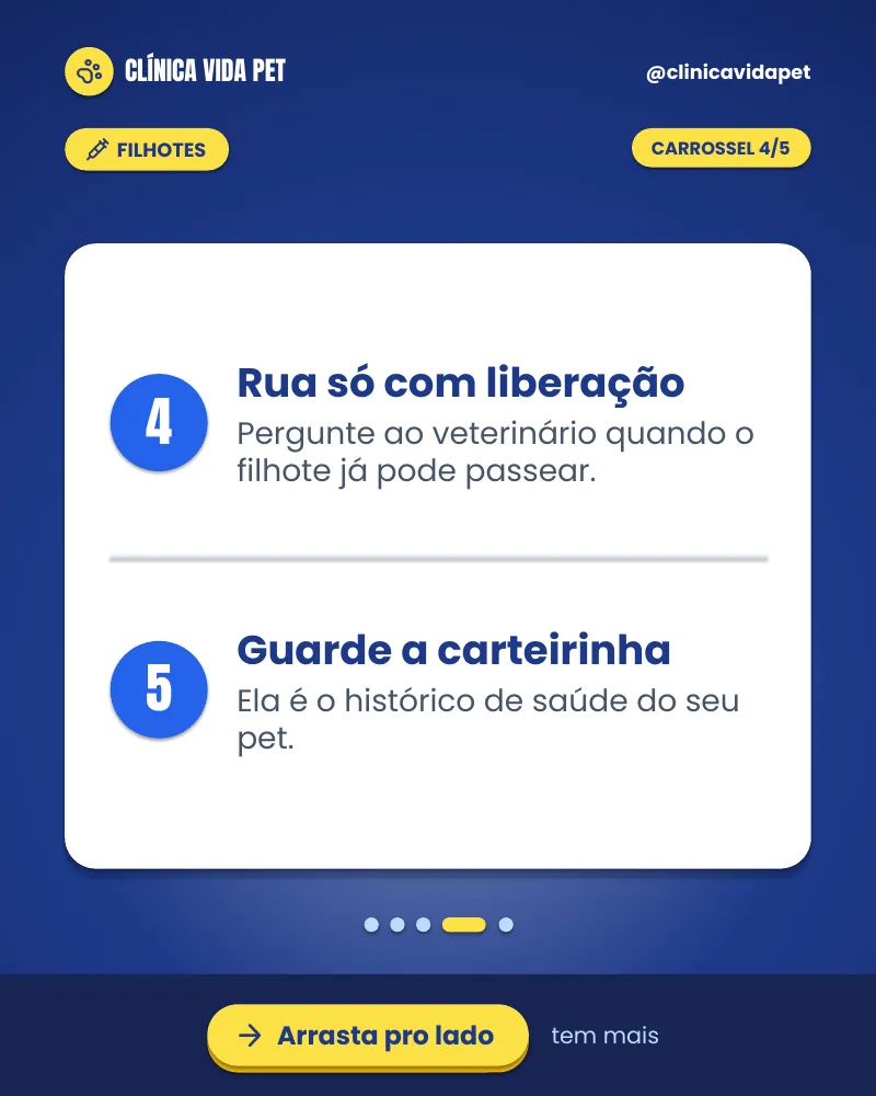Carrossel “Vacinas do filhote: o básico.”, página 4 de 5