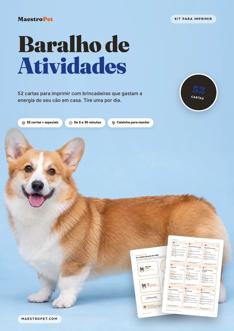 Capa do Baralho de Atividades