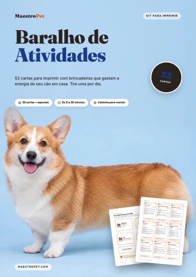 Capa: Baralho de Atividades