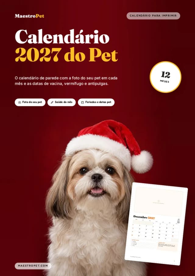 Capa: Calendário 2027 do Pet