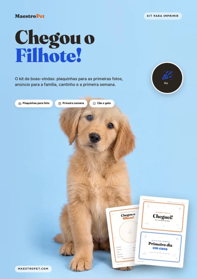 Capa: Chegou o Filhote!