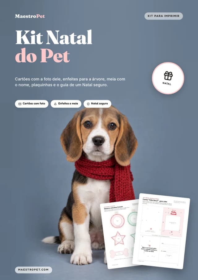 Capa: Kit Natal do Pet