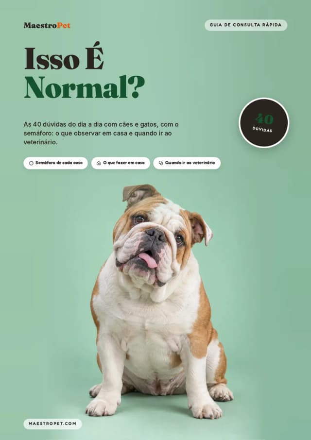 Capa: Isso É Normal?