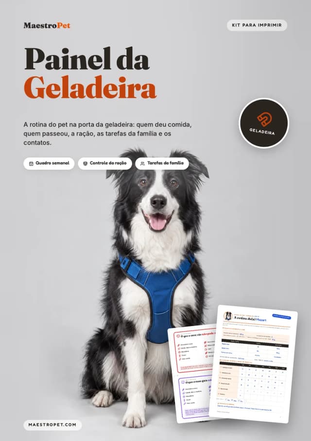 Capa: Painel da Geladeira do Pet