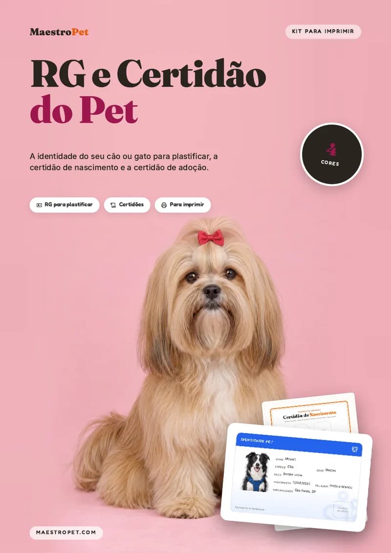 Capa: RG e Certidão do Pet