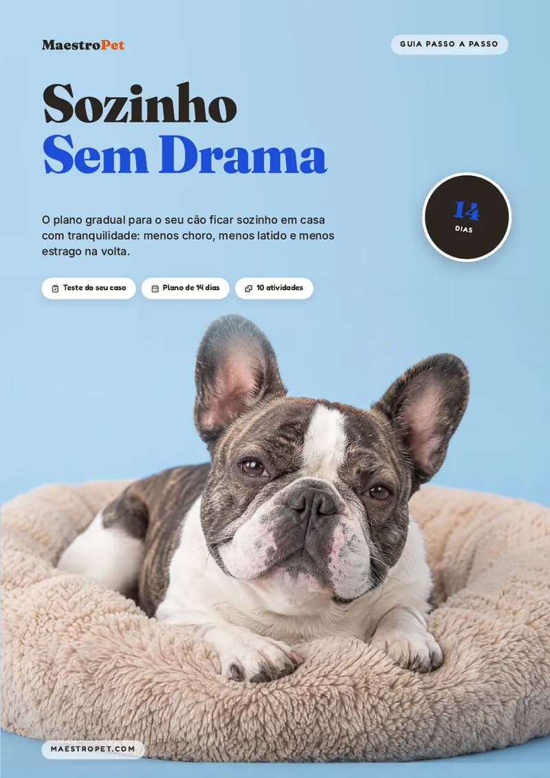 Capa: Sozinho Sem Drama