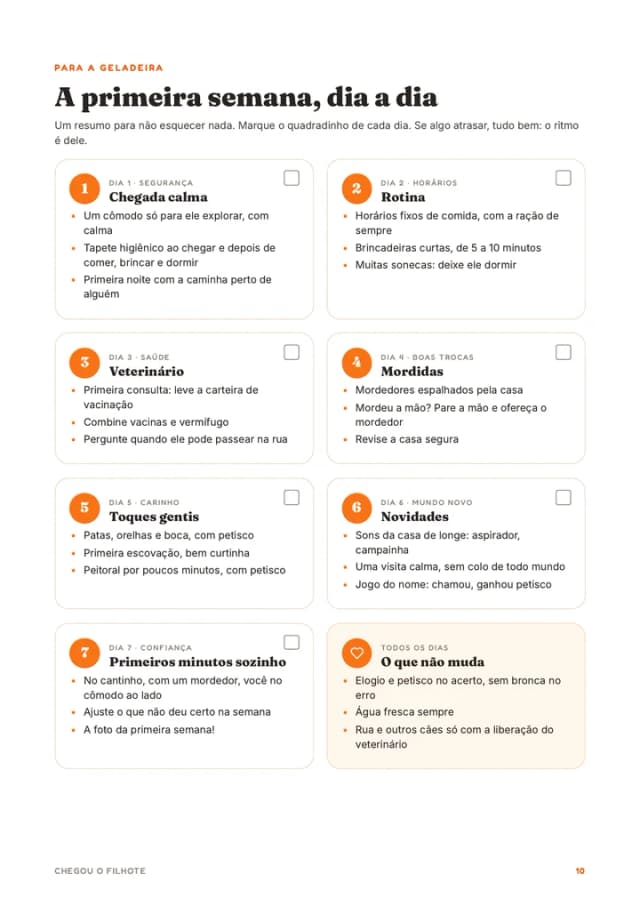 A primeira semana, dia a dia