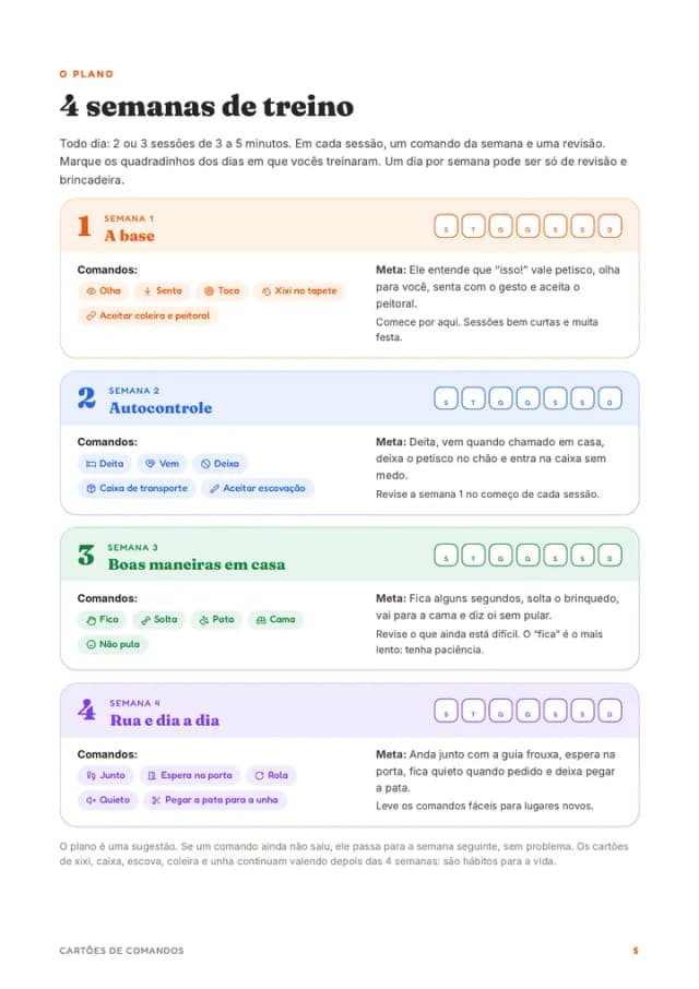 O plano de 4 semanas