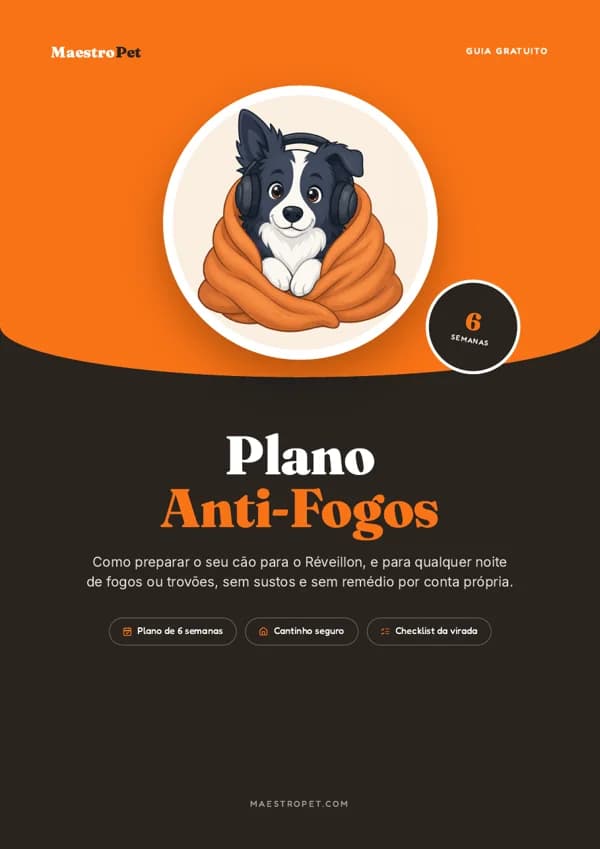 Capa do guia Plano Anti-Fogos