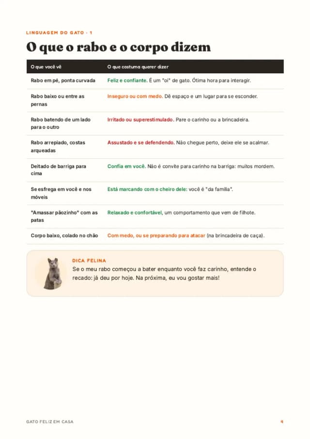 A linguagem do gato