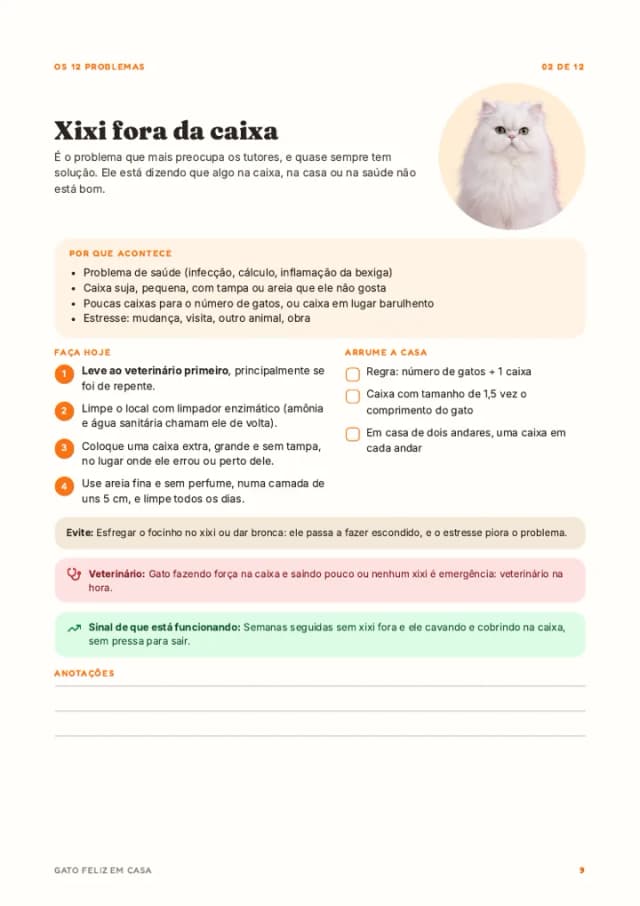 Página de um dos 12 problemas