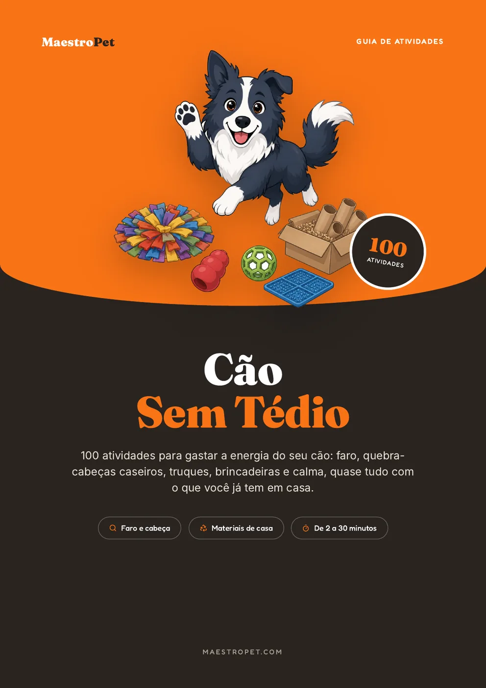 Capa: Cão Sem Tédio