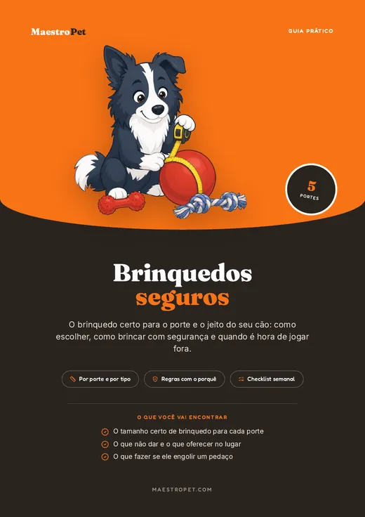 Capa do guia prático Brinquedos Seguros