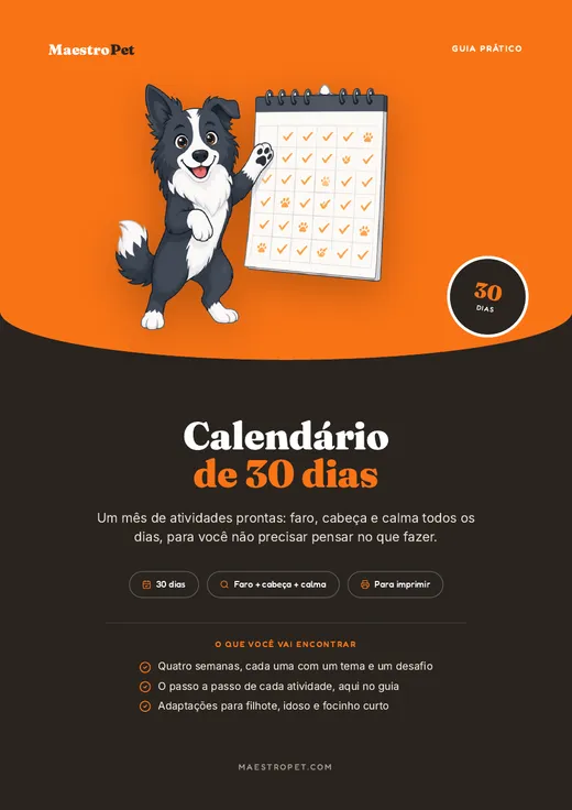 Capa do guia prático Calendário de 30 Dias