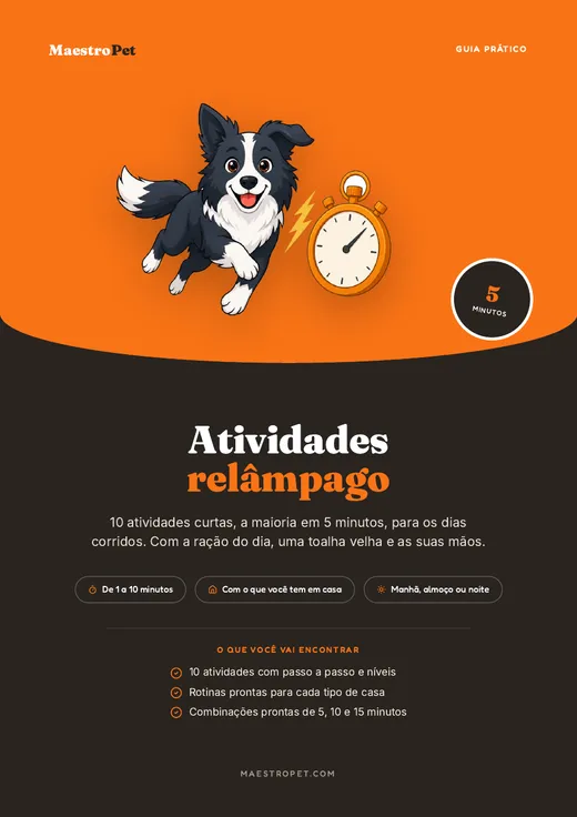 Capa do guia prático Atividades Relâmpago