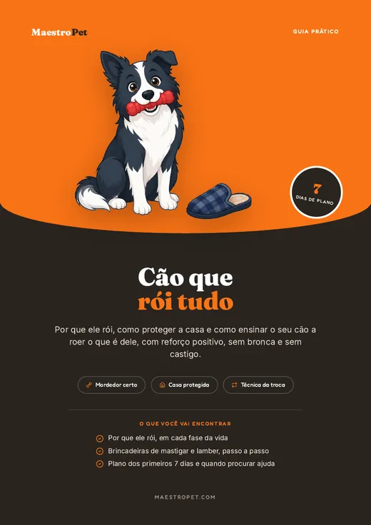 Capa do guia prático Cão que Rói Tudo