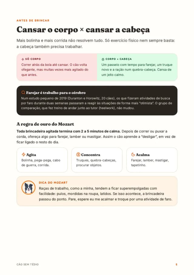 Página “Cansar o corpo × cansar a cabeça”