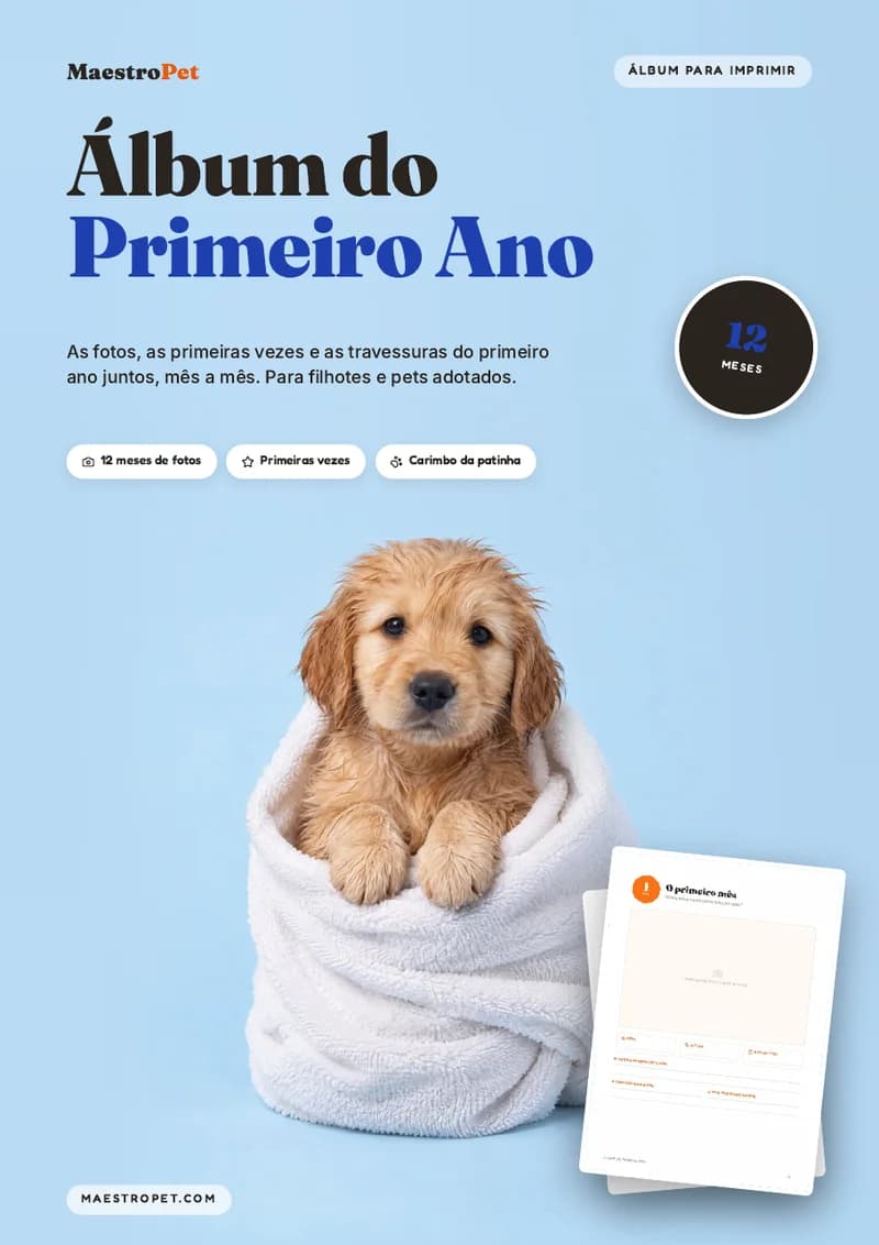 Capa: Álbum do Primeiro Ano