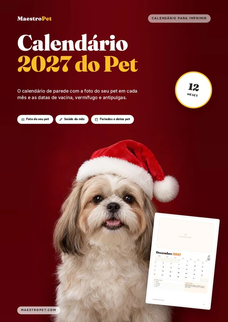 Capa do Calendário 2027 do Pet