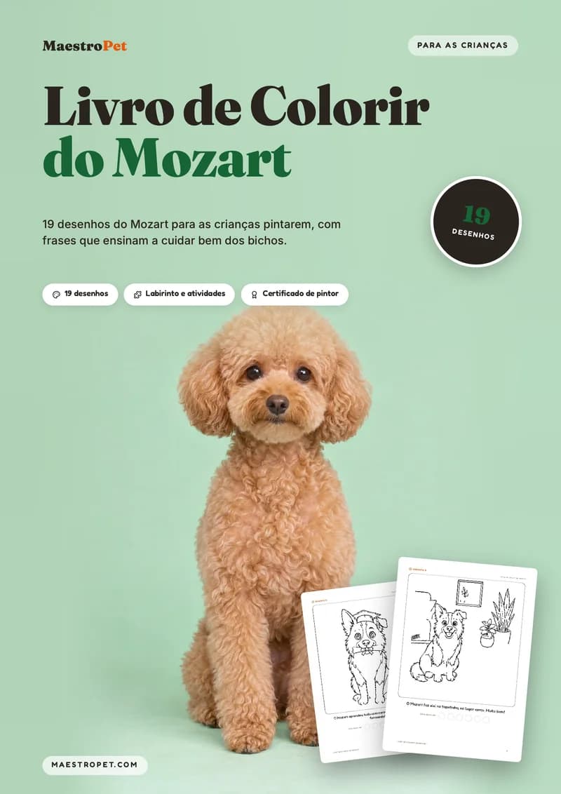 Capa do Livro de Colorir do Mozart