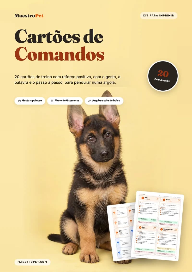 Capa dos Cartões de Comandos