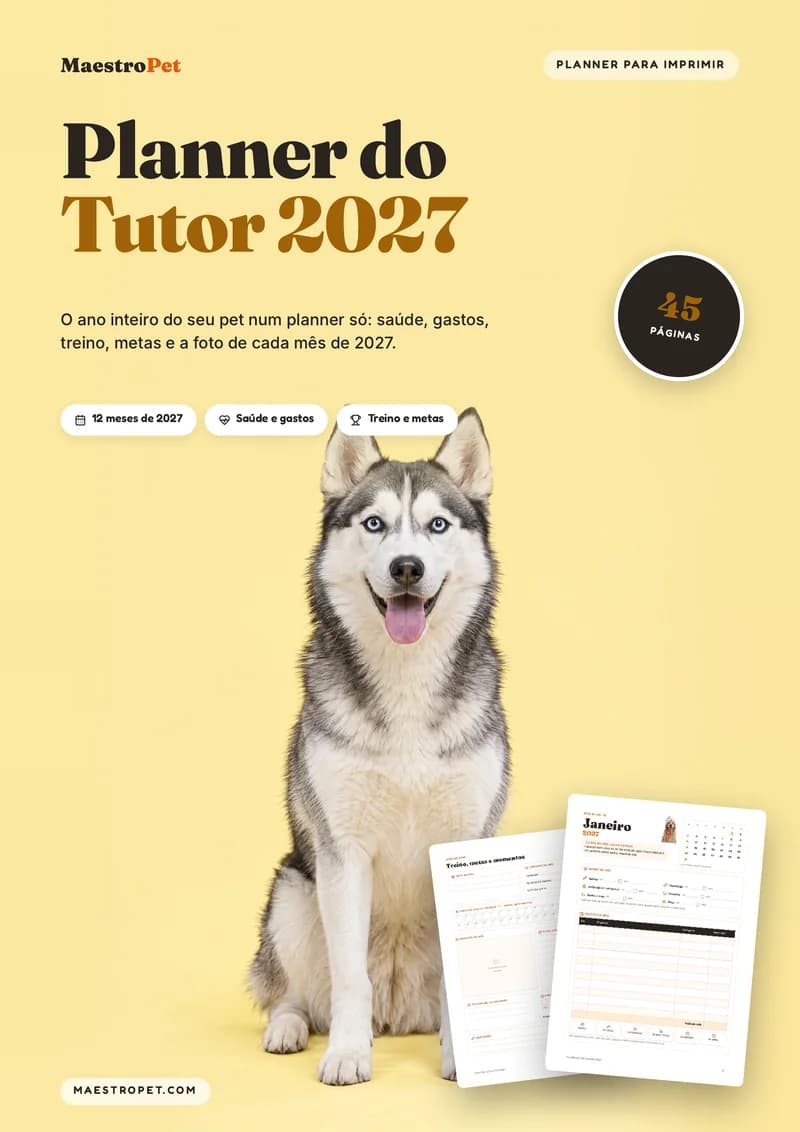 Capa do Planner do Tutor 2027
