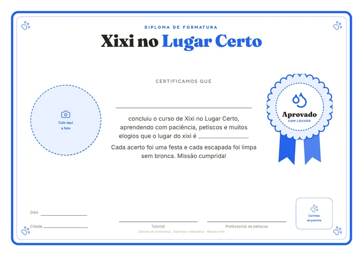 Diploma de formatura “Xixi no Lugar Certo”