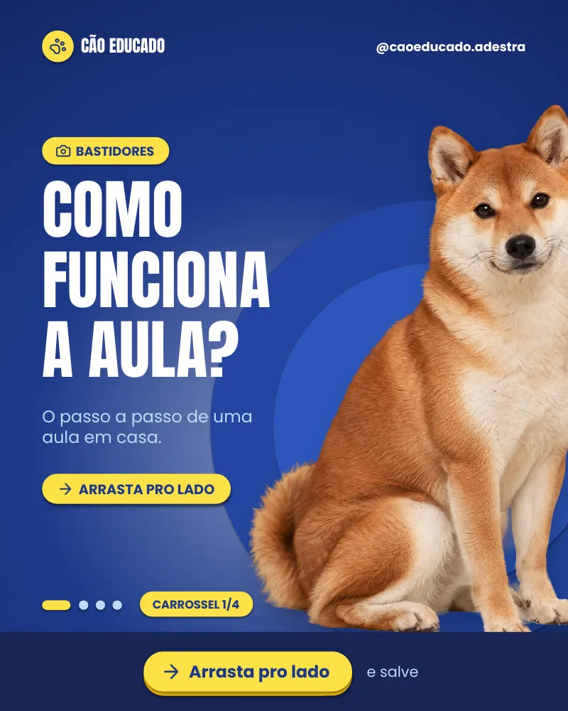 Carrossel “Como funciona uma aula em casa?”, página 1 de 4