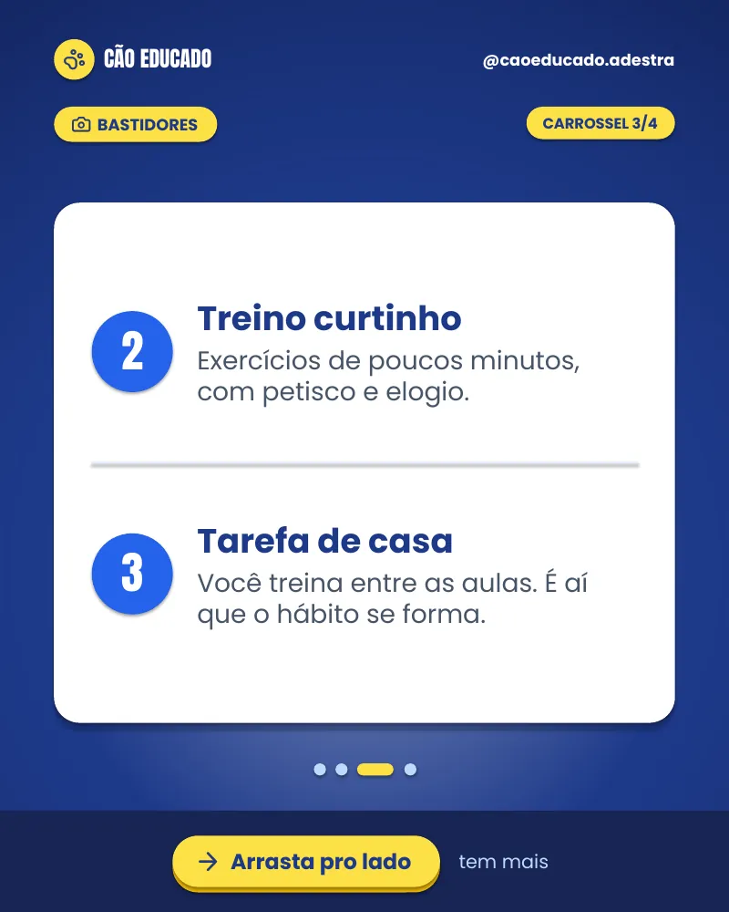 Carrossel “Como funciona uma aula em casa?”, página 3 de 4