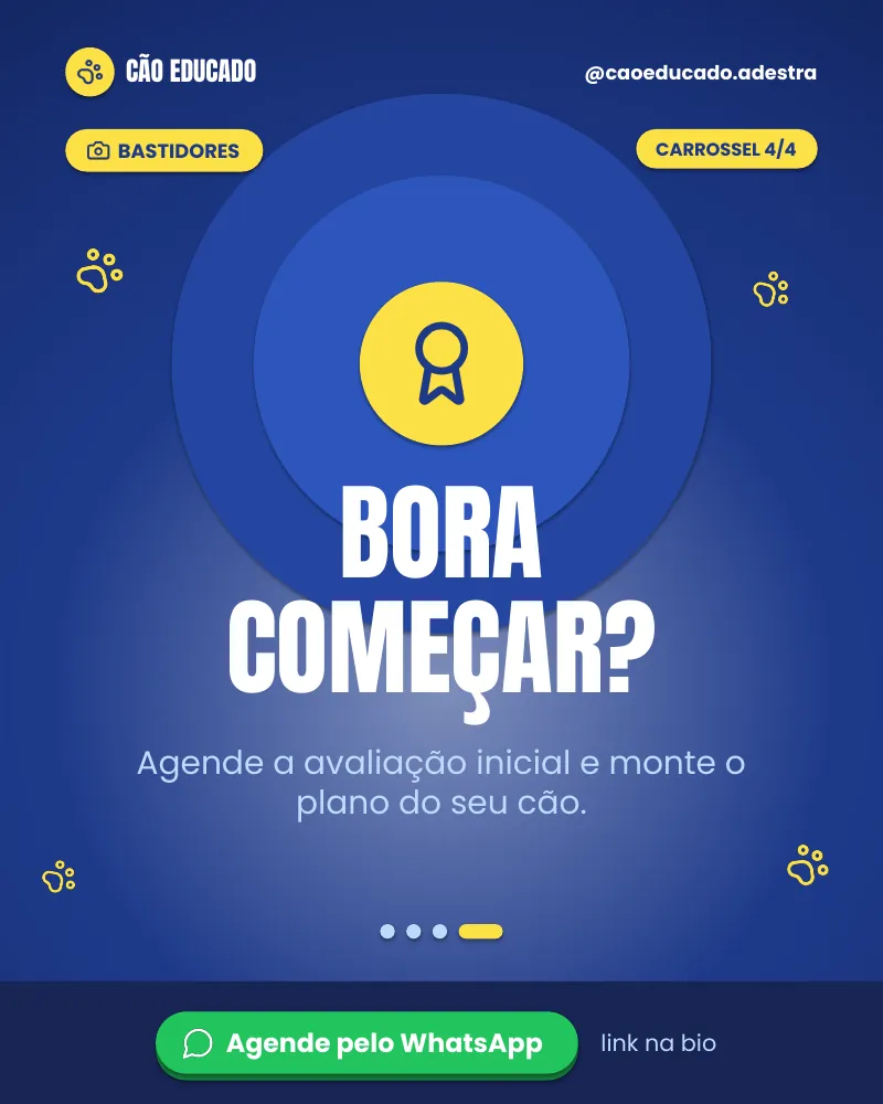 Carrossel “Como funciona uma aula em casa?”, página 4 de 4