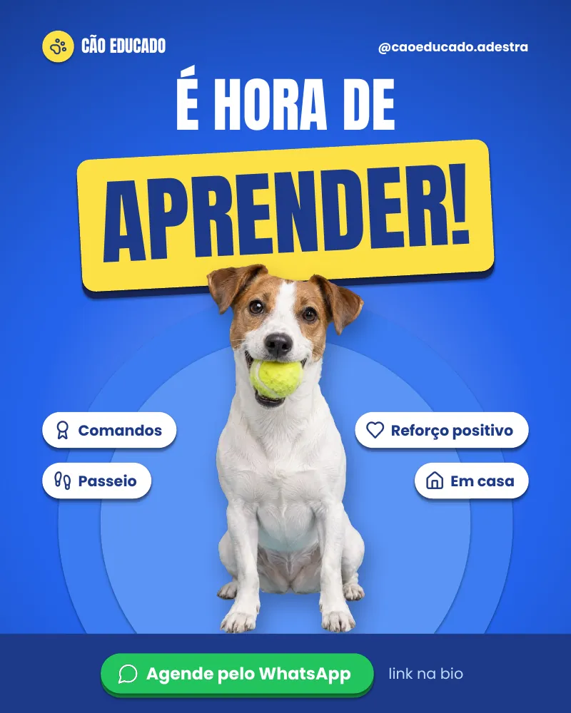 Post “É hora de aprender!” do Feed Pronto Adestramento