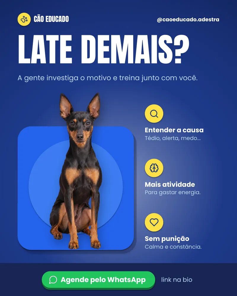 Post “Late demais?” do Feed Pronto Adestramento